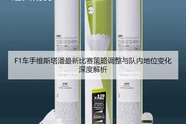F1车手维斯塔潘最新比赛策略调整与队内地位变化深度解析